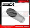 exhaust muffler DOMINATOR GP3 fits to S1000RR 2009  2011 2