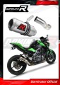 exhaust muffler DOMINATOR GP fits to Kawasaki Z900 2017  2019