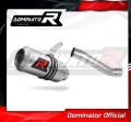 wydech tłumik DOMINATOR GP pasujący do motocykla Ducati MONSTER 821 2018 - 2021 2