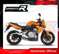 exhaust muffler DOMINATOR HP2 fits to Kawasaki ER  6 N / F 650 2006  2008 4