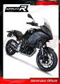 complete exhaust system with muffler DOMINATOR Full System GP BLACK fits to BMW F900XR 2020  2026 5