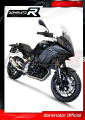 complete exhaust system with muffler DOMINATOR Full System HP5 fits to BMW F900XR 2020  2026 5