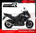 exhaust muffler DOMINATOR ROUND fits to Kawasaki VERSYS 1000 2019  2024 3