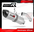 exhaust muffler DOMINATOR homologated road legal HP1 fits to S1000RR 2015  2016