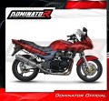 exhaust muffler DOMINATOR OV fits to Kawasaki ZR7 / ZR7S 1999  2004 3