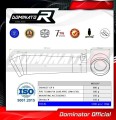 exhaust muffler DOMINATOR GP2 fits to Aprilia Tuono V4 R APRC Low Level 2011  2014 2