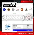 exhaust muffler DOMINATOR HP1 fits to Yamaha TZR 125  2