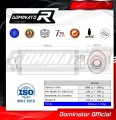 exhaust muffler DOMINATOR OV fits to Ducati MONSTER 1000 2003  2005 2