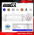 exhaust muffler DOMINATOR OV fits to BMW G310R 2016  2022 4
