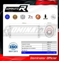 exhaust muffler DOMINATOR OV fits to Yamaha XT 600 1987  1989 4