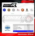 exhaust muffler DOMINATOR GP fits to Honda CB 600F HORNET 1998  2002 5