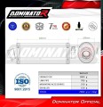 exhaust muffler DOMINATOR OV fits to BMW R1100RS  5