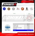 wydech tłumik DOMINATOR OVR pasujący do motocykla BMW R1200R 2010 - 2014