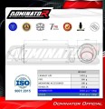 exhaust muffler DOMINATOR GPF fits to Yamaha Tenere 700 2025  2026 3
