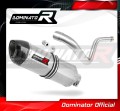 exhaust muffler DOMINATOR HP1 fits to BMW G310R 2016  2022 2