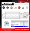 wydech tłumik DOMINATOR Owalny pasujący do motocykla Honda VFR 800 Fi 1998 - 2001 6