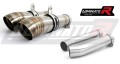 exhaust muffler DOMINATOR GP2 fits to Aprilia Tuono 1000 R 2006  2010