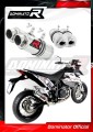 exhaust muffler DOMINATOR GP1 fits to KTM 690 SM SUPERMOTO
