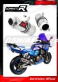 wydech tłumik DOMINATOR GP1 pasujący do motocykla Kawasaki ZRX 1200 S 2001 - 2007