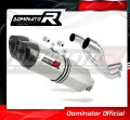 exhaust muffler DOMINATOR HP1 fits to Aprilia Pegaso 650 Trail 2006  2010