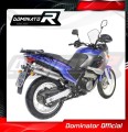 wydech tłumik DOMINATOR Owalny pasujący do motocykla Aprilia Pegaso 650 1997 - 2000 3