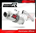exhaust muffler DOMINATOR GP1 fits to Honda CBR 600 F4 1999  2000