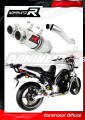 exhaust muffler DOMINATOR GP1 fits to Yamaha BT 1100 BULLDOG 2001  2007
