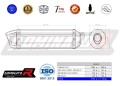 exhaust muffler DOMINATOR HP1 fits to Triumph SPEED TRIPLE 1050 2005  2010 2