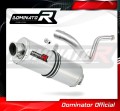 exhaust muffler DOMINATOR OV fits to BMW G310R 2016  2022 2